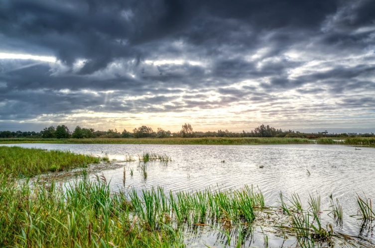 Aanbevelingen semi-natuurlijke koolstofopslag 