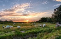 Regelgeving natuurbeheerplannen