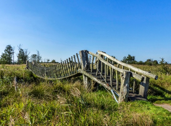 Vierde uitbreiding van het reservaat E-013 Hageven te Lommel en Pelt