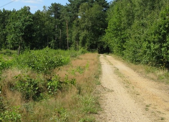 Zevende uitbreiding van het erkend natuurreservaat E-071 “Schotshei” te Maaseik en Dilsen-Stokkem